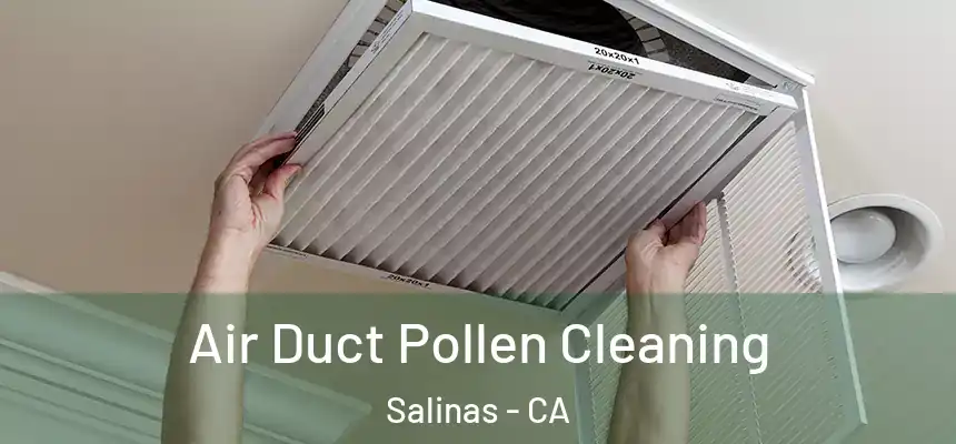 Air Duct Pollen Cleaning Salinas - CA