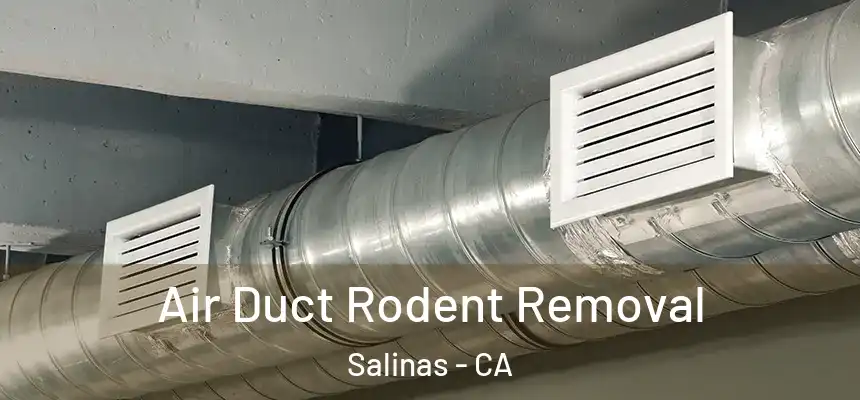 Air Duct Rodent Removal Salinas - CA