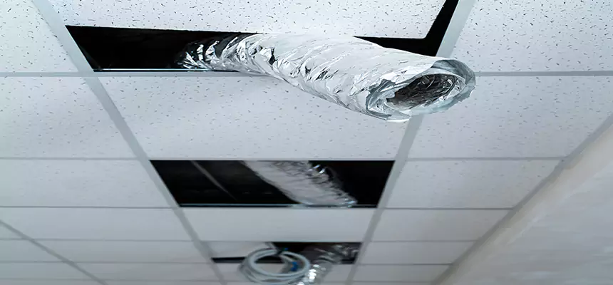 Affordable HVAC Sanitizing After Pest Removal in Salinas