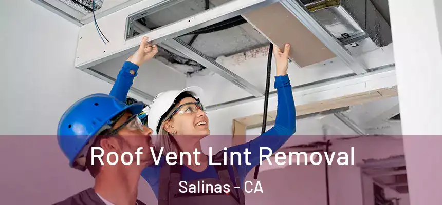Roof Vent Lint Removal Salinas - CA