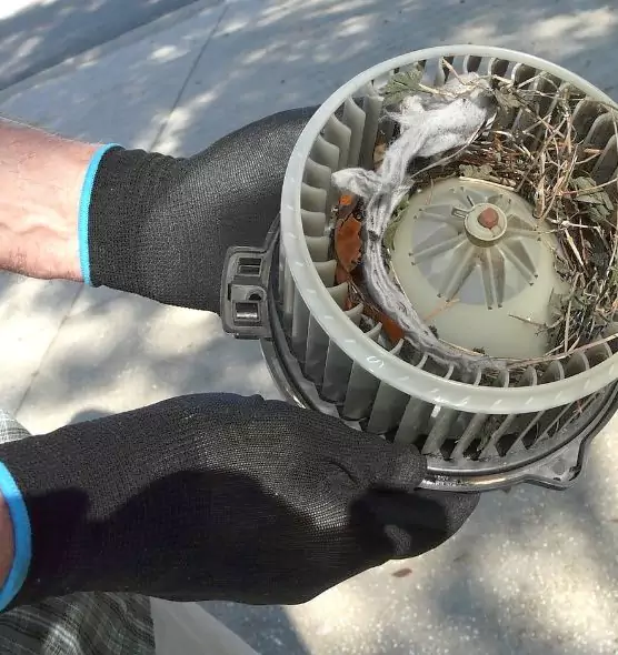 About Air Duct Mice Removal in Salinas, CA