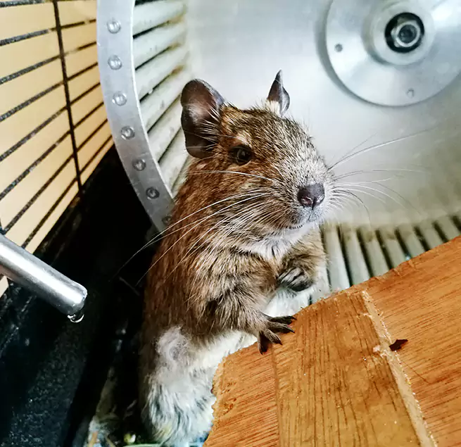 Why Homeowners & Businesses Trust Us Salinas, CA?