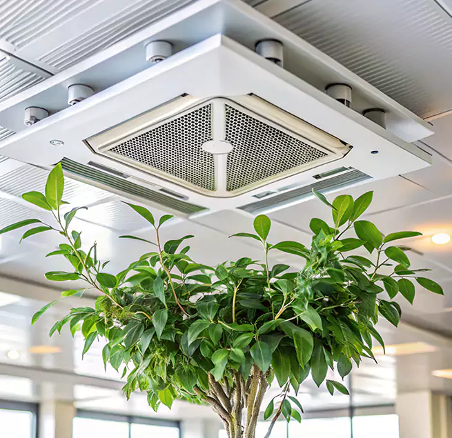 Why Homeowners & Businesses Trust Us in Salinas, CA?