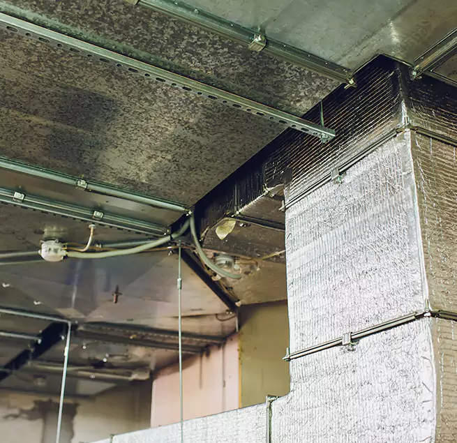 Why Homeowners & Businesses Trust Us in Salinas, CA?